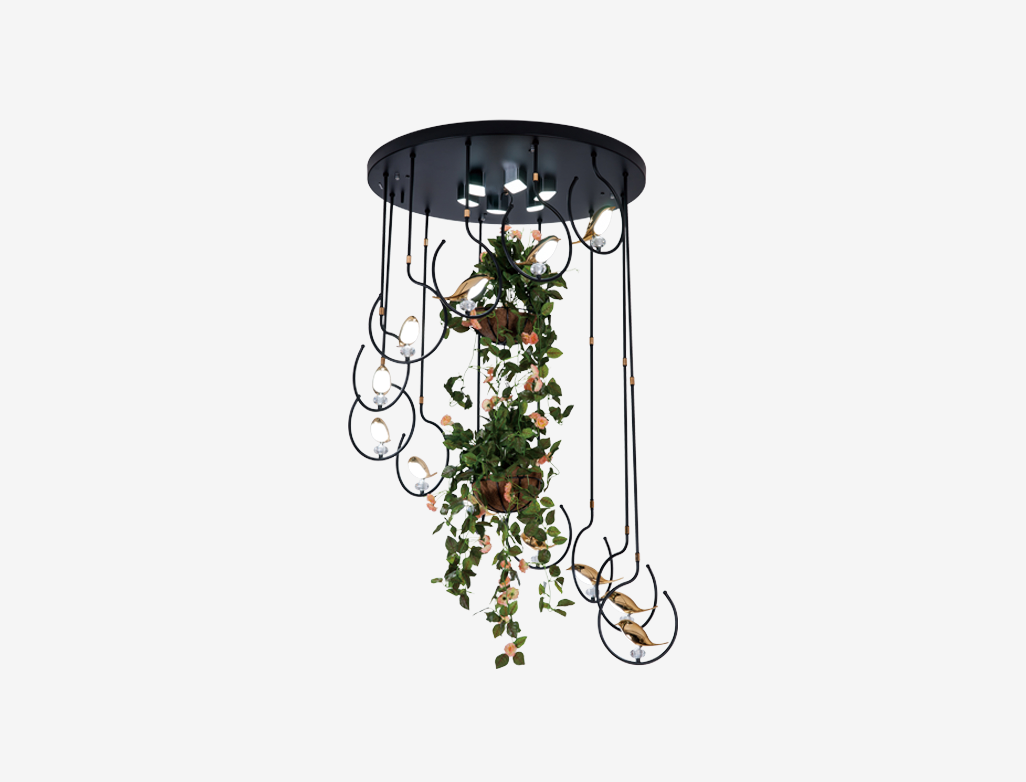 Casa Lantana Product Showcase